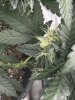 IMG_0446.jpeg