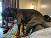 IMG_3958.jpeg
