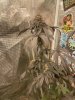 IMG_8924.jpeg