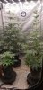 20240329_080642[1931].jpg
