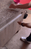 IMG_6155.gif