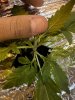 IMG_3360.jpeg