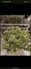 Screenshot_20240411-233324.png