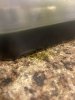IMG_6349.jpeg
