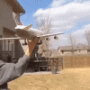 1713284393950.gif