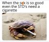 IMG_6229.jpeg