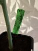 IMG_1639.jpeg