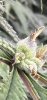 IMG_1223.jpeg