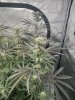 IMG_2688.jpeg