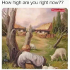 1714321199792.png