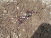 DSC00811.JPG