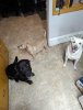 PXL_20240508_000629704.jpg