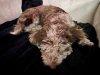 IMG_8090.JPEG