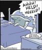 FB_IMG_1715297743356.jpg