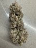 IMG_4360.jpeg