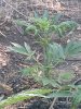 20240513_094839.jpg