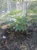 20240513_094827.jpg