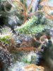 IMG_1965.jpeg