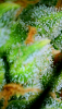 2024_05_26_08_45_35_152.png
