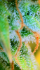 2024_05_26_08_45_01_230.png