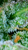 2024_05_25_08_25_33_074.png