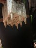 IMG_6733.jpeg