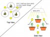 growsetup.JPG