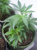 100_4040.jpg