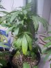 100_4026.jpg