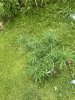 IMG_1654.jpeg