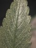 IMG_0406.jpeg