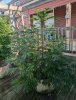 PXL_20240801_131019001.jpg