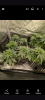 Screenshot_20240731-040755.png Screenshot_20240731-040755.png