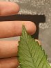 20240806_204218.jpg 20240806_204218.jpg