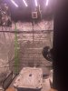 front pic.JPEG