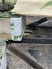 IMG_1031.jpeg