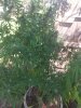 20240908_124913.jpg