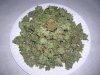 DSCN7168.jpg