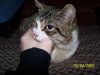 100_3667.jpg
