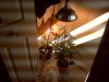 IMG00157.jpg