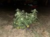 IMG_3047.jpeg