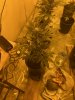 IMG_4328.jpeg