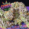New Instagram Permanant Chimera X High Octane OG by Original Dank copy.png New Instagram Permanant Chimera X High Octane OG by Original Dank copy.png