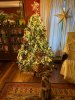 IMG_0335.jpeg