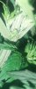 IMG_20241230_104325700~2.jpg