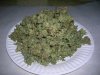DSCN7225.JPG