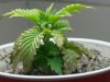 All new 9-2-09 003.jpg