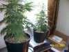 000_0501.jpg