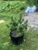 IMG_2756.jpeg IMG_2756.jpeg