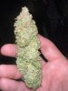 IMG_6952.jpeg